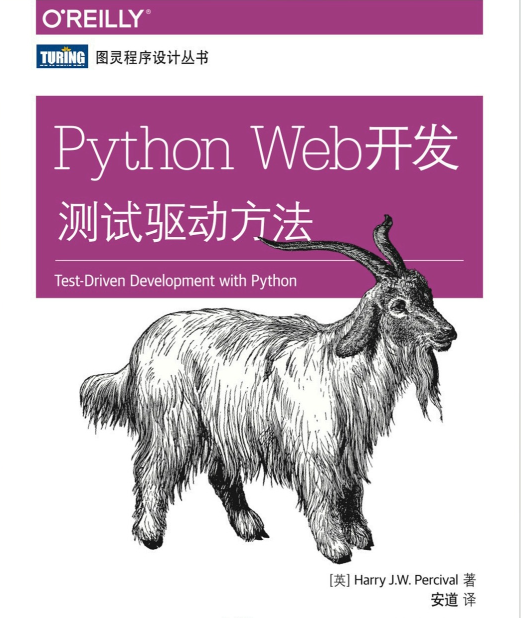 Python Web开发：测试驱动方法  第1张